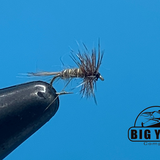 Midges