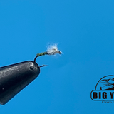 Mike's Midge Pupa