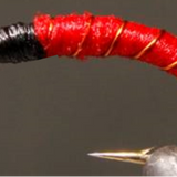 Miracle Nymphs