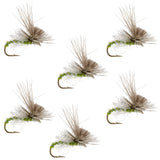 Green Drake Missing Link Mayfly Flies Hook 6 Flies Size 12