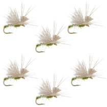 Set of five olive fly fishing nymph patterns with green accents on hooks