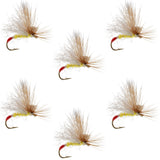 Yellow Sally Missing Link Stonefly - 6 Flies Hook Size 14