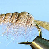 Molting Scuds