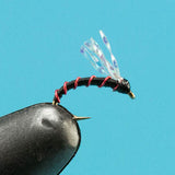 Montana Midge