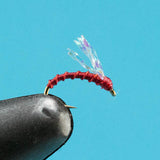 Montana Midge