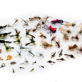 Montana Fly Assortment--36 Flies #37