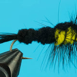 Montana Stonefly