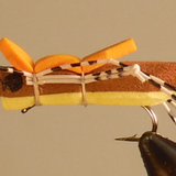 Moorish Hopper