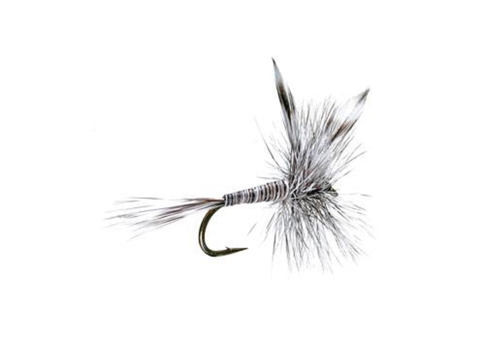 Dry fly with dark hook, striped body, and gray feather wings, size 20