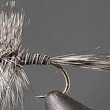 Mosquito