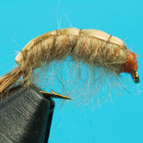 Muskie Shrimp