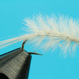 Mysis Shrimp