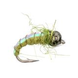 Electric Caddis, Size 16 | Olive | Qty. 6 | Wild Water Fly Fishing