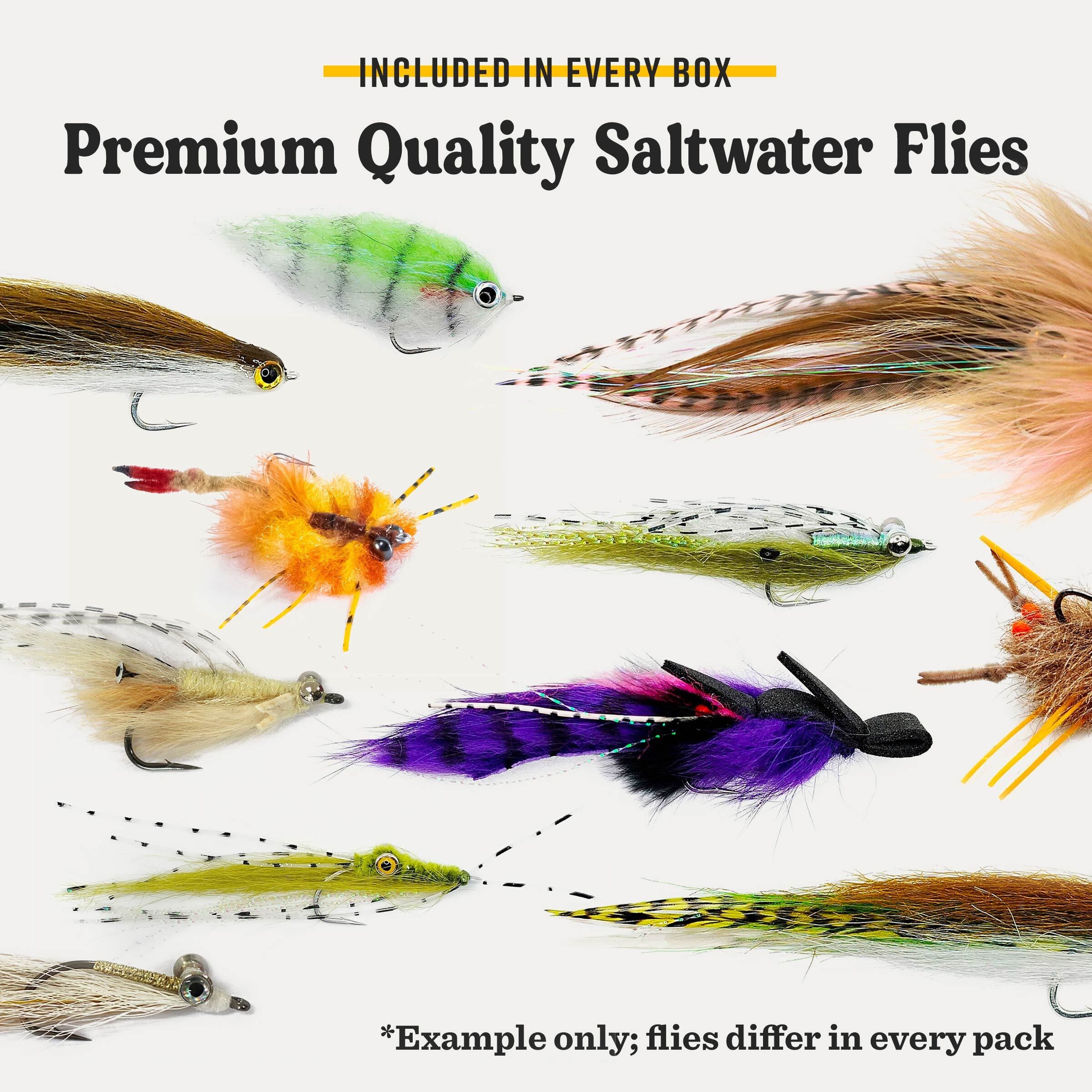 Assorted saltwater fishing flies with feather bodies and barbed hooks