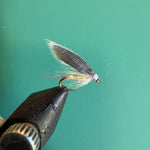 Wet fly fishing lure with dark body and gray feather wing on a hook