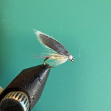 Wet fly fishing lure with dark body and gray feather wing on a hook
