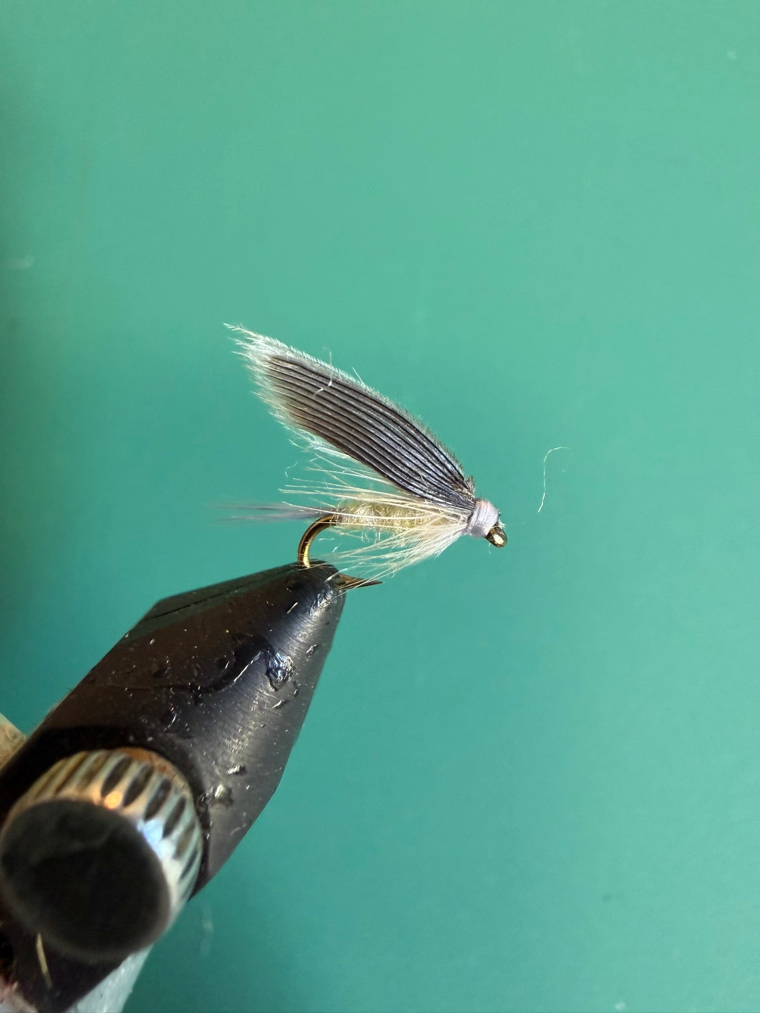 Wet fly fishing lure with dark body and gray feather wing on a hook