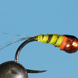 Polish Poundcake - Tungsten (Barbless)