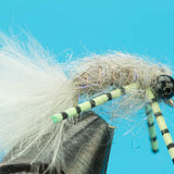 Panfish Scud
