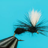 Parachute Ant