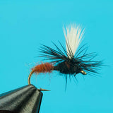 Parachute Ant