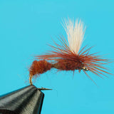 Parachute Ant
