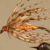 Soft Hackle Partridge