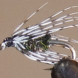 Soft Hackle Partridge