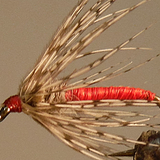 Soft Hackle Partridge