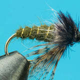 Peeking Caddis