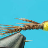 Pheasant Tail Sulphur