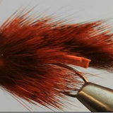 Pine Squirrel Leech - 4 Colors