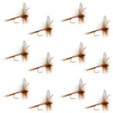 Pink Lady Classic Dry Fly - 12 Flies Size 16