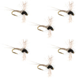 Z-Lon Wing Trico Spinner Kapok Body Hook 6 Flies Size 20