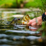 Natural Deer Hair and Grizzly Bass Popper 6 Flies Hook Size 8 Bass Fly Fishing Bug Wide Gape Bass Hooks With Weed Guard