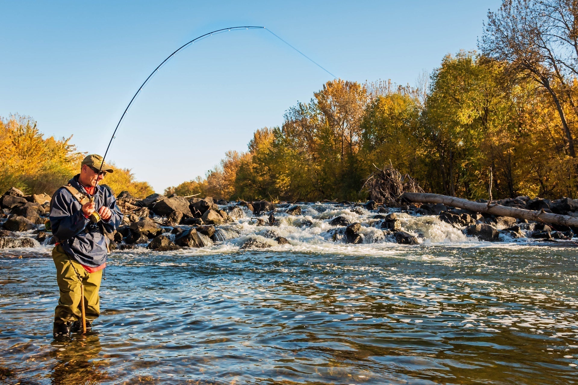 Angler fly fishing in a river with a curved casting rod against autumn trees