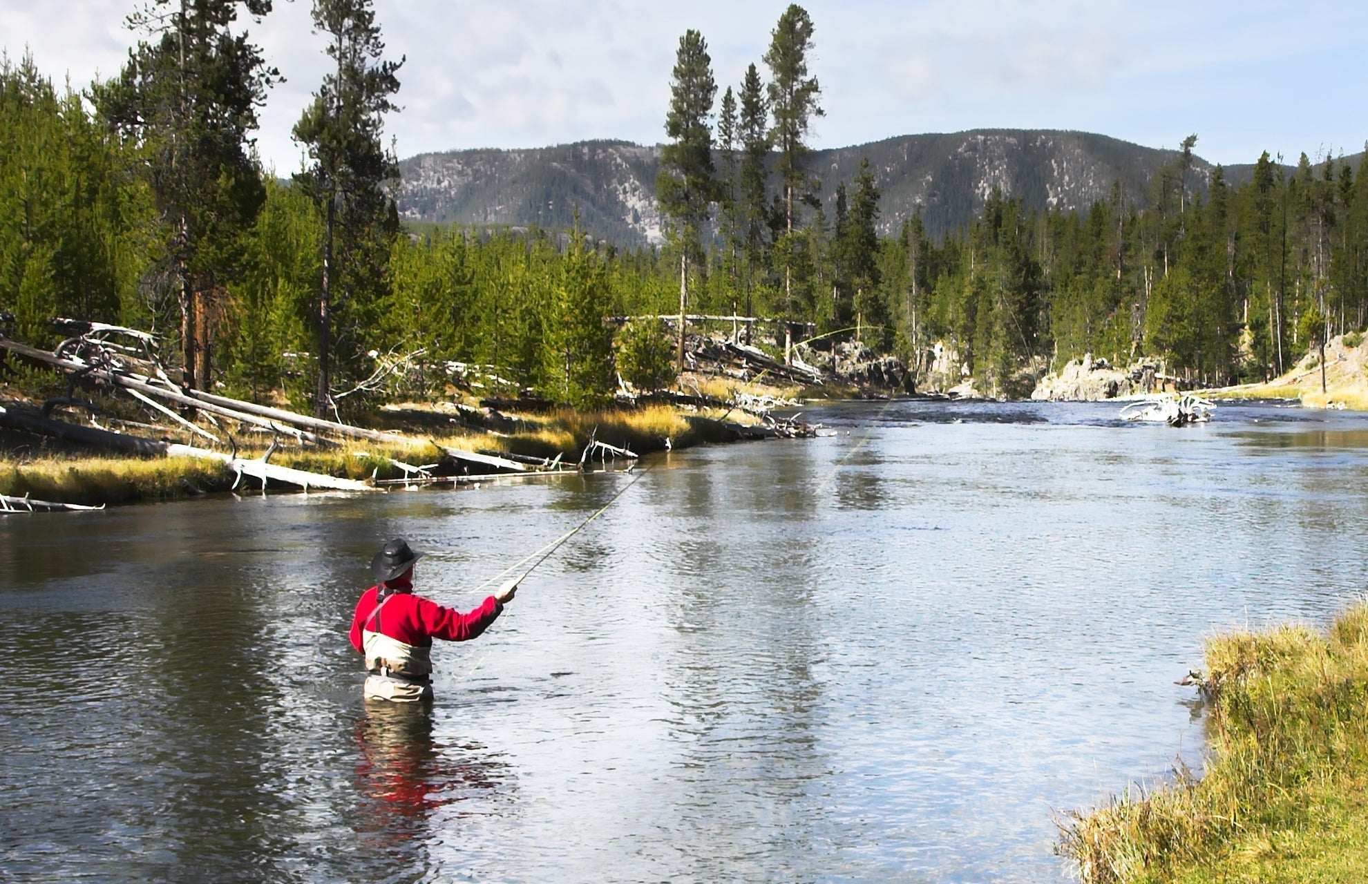 Fly fisher casting from a river, line arcing over the water near forested hills
