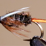 Prince Nymph