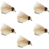 Bead Head LaFontaine Tan Deep Sparkle Caddis Pupa - 6 Flies Hook Size 18