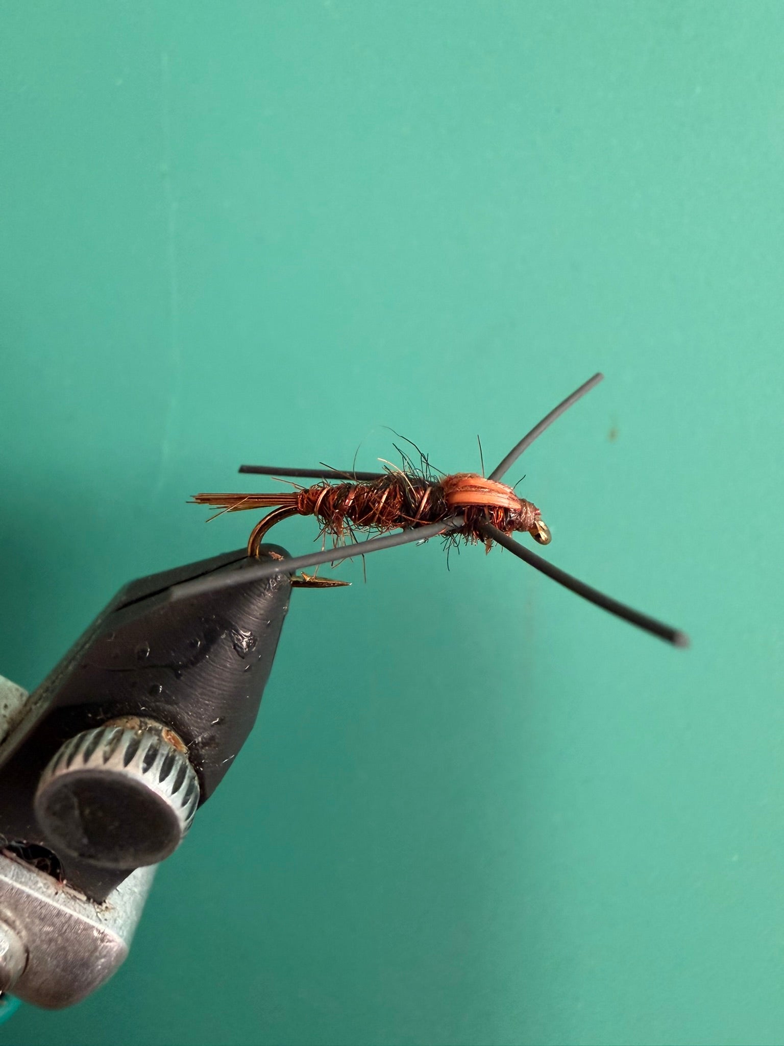 Rubber-legged nymph fly with brown-orange body and black rubber legs