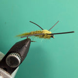 Rubber-legged nymph fly with olive-green body and black rubber legs