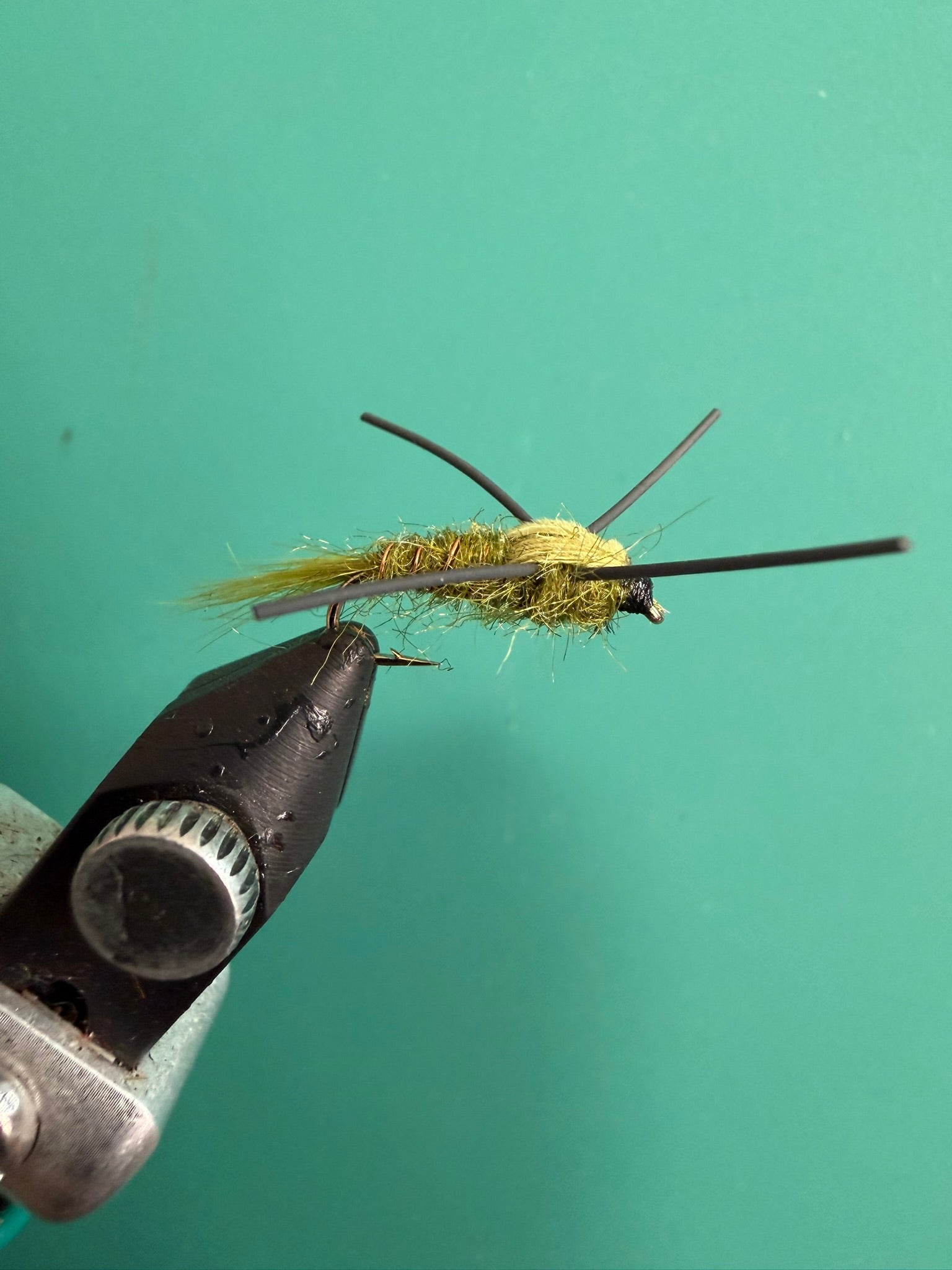 Rubber-legged nymph fly with olive-green body and black rubber legs
