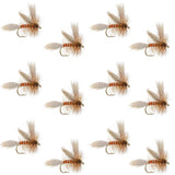 Queen Of The Waters Classic Dry Fly - 12 Flies Size 12
