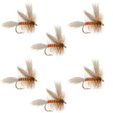 Queen Of The Waters Classic Dry Fly - 6 Flies Size 14