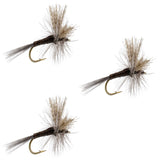 3 Pack Quill Gordon Classic Dry Fly - Size 16