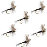 Quill Gordon Classic Dry Fly - 6 Flies Size 16 (Copy)
