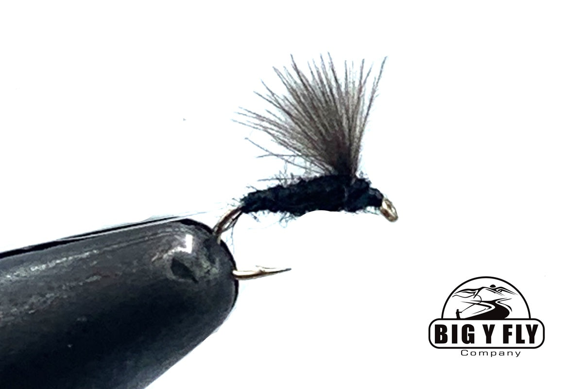 RS 2 Emerger
