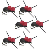 Set of red and black foam beetle dry flies with barbed hooks, 6 flies, size 14