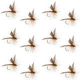 Red Quill Classic Dry Fly - 12 Flies Size 16