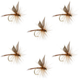 Red Quill Classic Dry Fly - 6 Flies Size 12